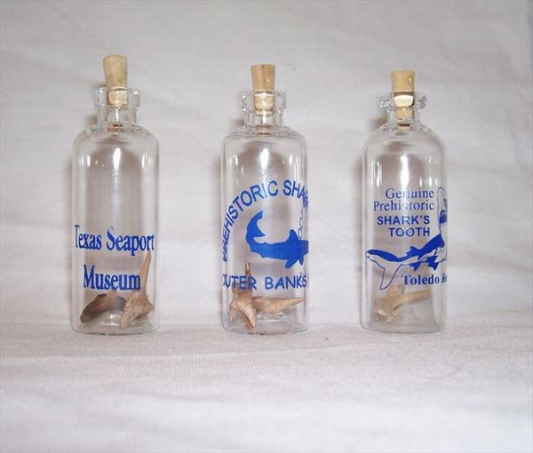 NGH103C Prehistoric Sharks Tooth in Mini Glass Bottle With Custom Imprint